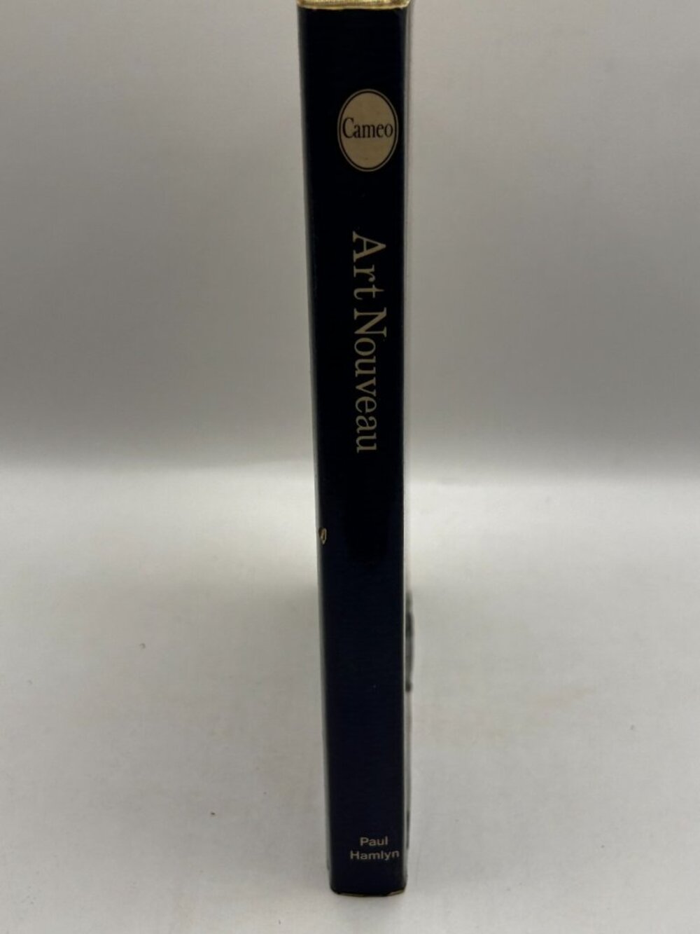 Art Nouveau by Renato Barilli 1969 Small Hard Cover Dust Jacket Good Condition - Picture 4 of 5